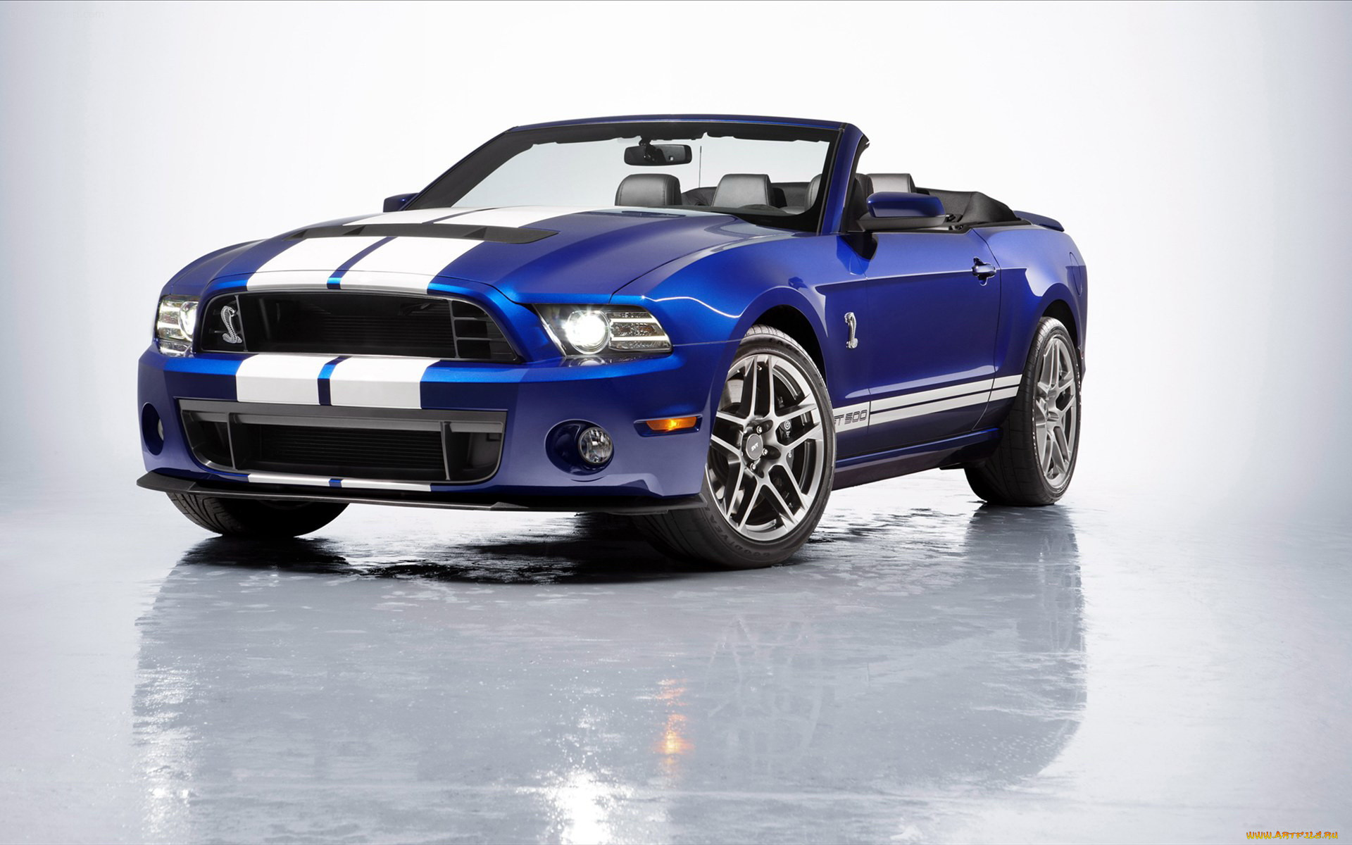 , mustang, 
